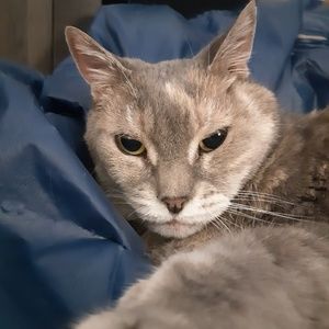 Meet your Posher, Nisha